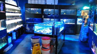 Photos of Petland Fort Walton Beach