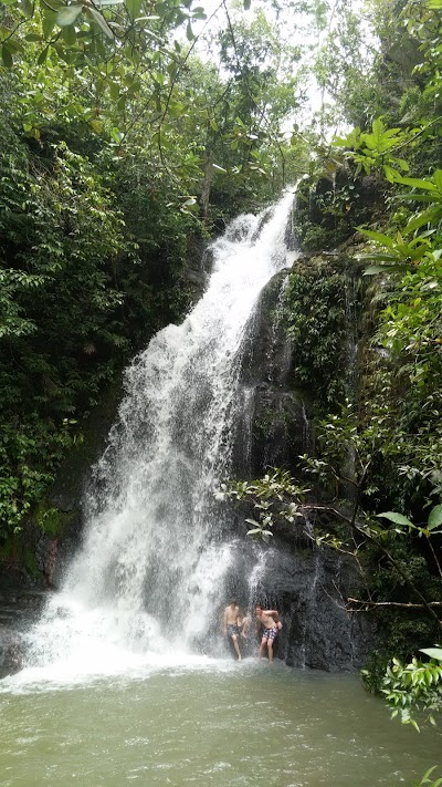 Photos of Tiger Fern Double Waterfall