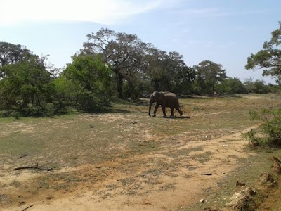 Photos of Walksons Tourist Pvt Ltd