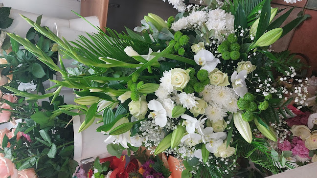 Comentarii opinii despre Aux Iris