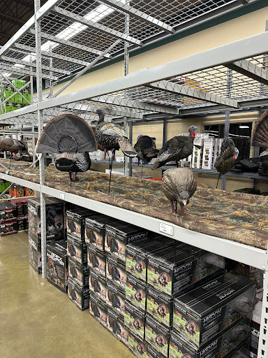 Green Top Sporting Goods - Thumbnail