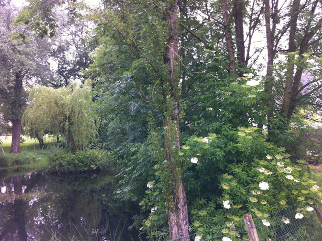 Castle Bergelière by null