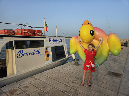 Pharus Experience Boat - Visual