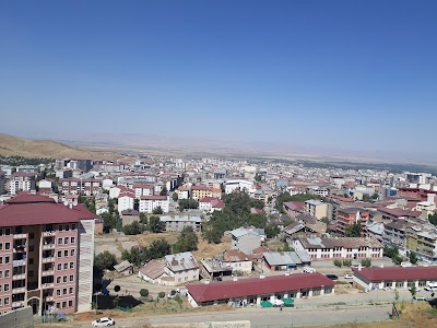 Muş