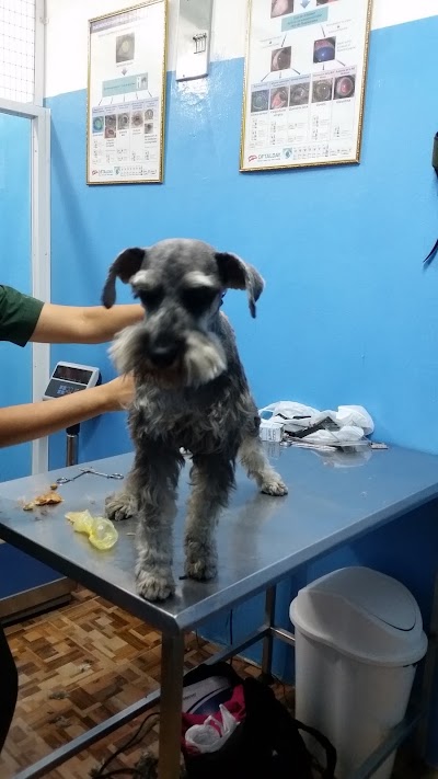 Photos of Veterinaria Mascotas