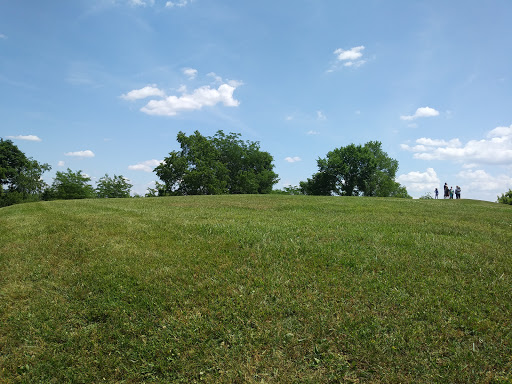 Alligator Mound - Visual