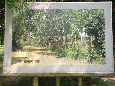 Photos of Wari Bateshor Archeological Site