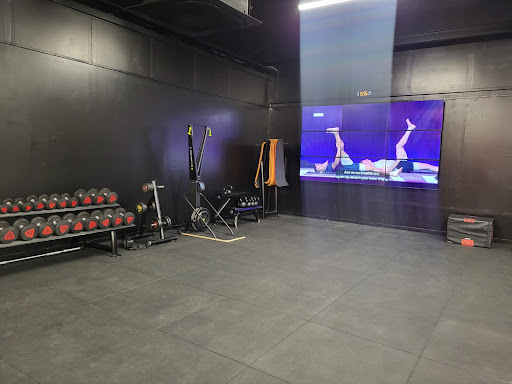 Basic Gym - Visual