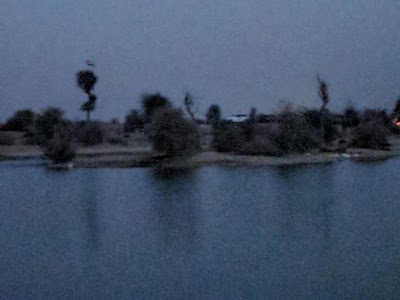 Photos of Flamingo lake