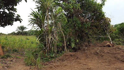Photos of Adenta Pantang Land