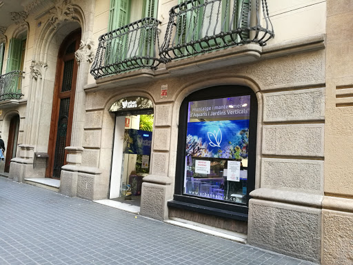 Urban Natura