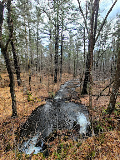 DCR Quabbin Gate 40 - Thumbnail