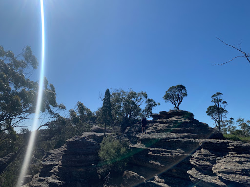 Munghorn Gap Nature Reserve - Thumbnail