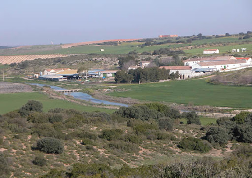 Bodegas Montalvo Wilmot - Pago los Cerrillos"
