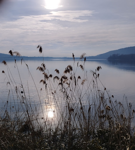 Pista ciclabile lago di Comabbio - Thumbnail