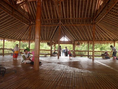 Photos of Ecotourism Mangrove Wonorejo