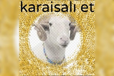 KARAİSALI KASABI