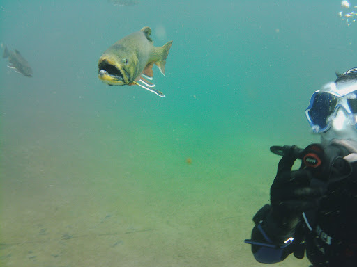 Dive Guide Patrick Schultz - Visual