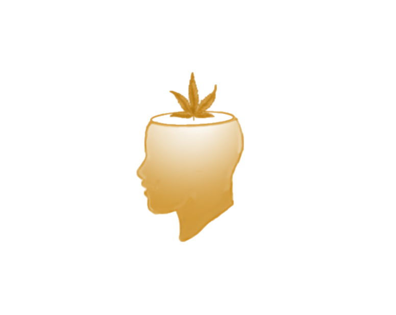 Altered State Cannabis Company in Detroit, Michigan