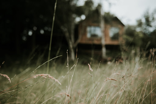 Meadowspace - Visual