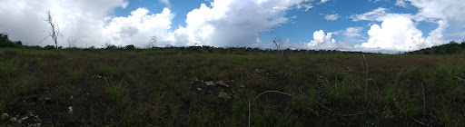 Sabana la escondida - Thumbnail