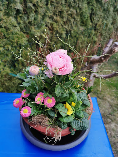 Blumen u. Floristik Augustin - Thumbnail