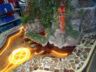 Photos of China Kitchen