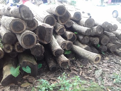 Photos of Jasa Pemasangan Baja Ringan (Ady)