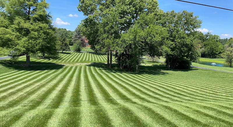 CB LANDSCAPE PLUS