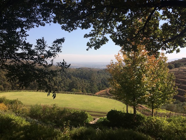 TOKARA Wine Estate