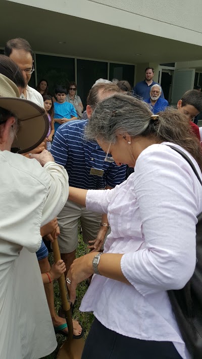 Photos of Temple Shalom