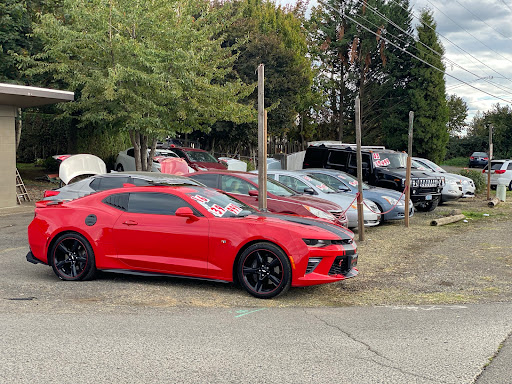 Impact Auto LLC - Visual