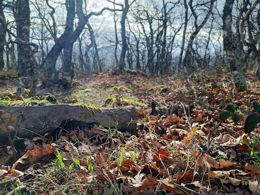 Monte Endino - Thumbnail