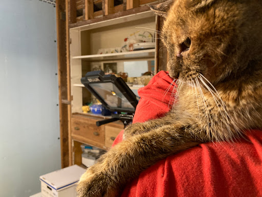 VCA Parkcrest Animal Hospital and Pet Lodge - Thumbnail