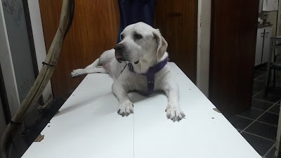 Photos of Cedipa