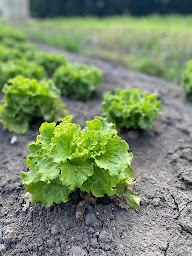 Photo n°19 de marcel&fils BIO à Fuveau (Supermarché)