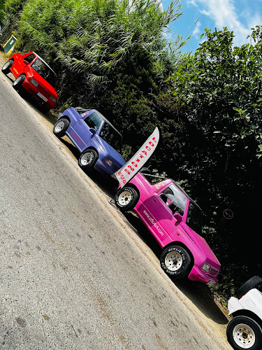 Comentarii opinii despre St Flo 4X4