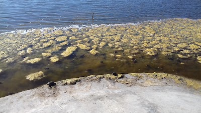 Photos of Lac Sidi Boughaba Parc National