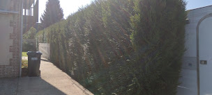 Photo n°3 de espaces verts capello 91 à Brétigny-sur-Orge (Jardinier)