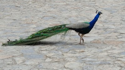 Photos of Monastry Saint Naum