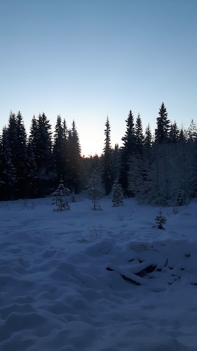 Photos of Olderskogen