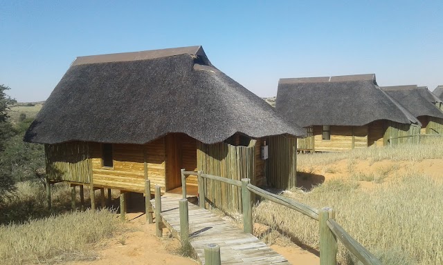 Kgalagadi Transfrontier Park