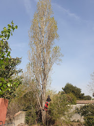 Photo n°4 de Sannier David Espaces Verts à Cabriès (Entrepreneur)
