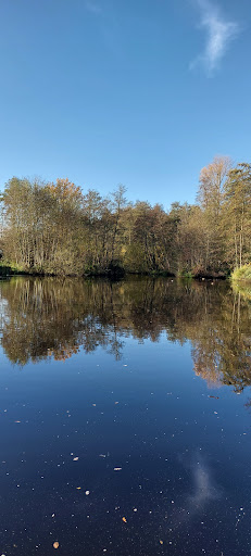 Niederkrüchten, Lindbruch - Thumbnail