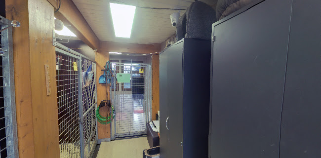 HDZ Hundezentrum Telefonnummer