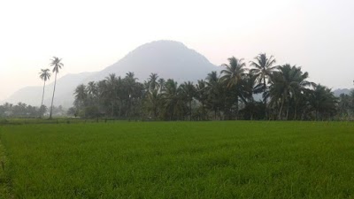 Photos of DEWIYORA GROUP