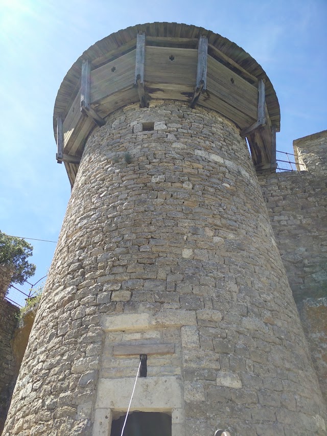 Château de Peyrelade