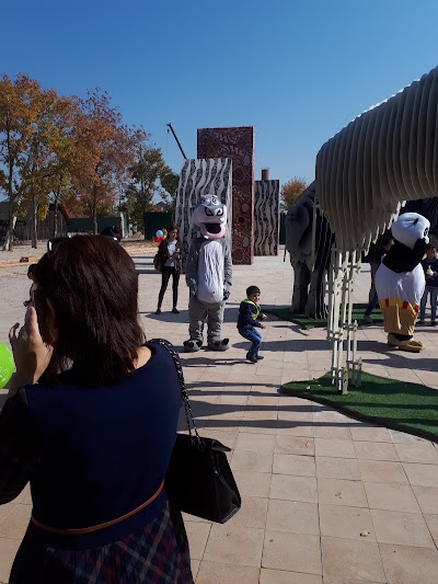 Photos of Zoopark
