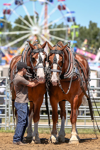 Swift Current Agricultural and Exhibition Association Gallery - Canada