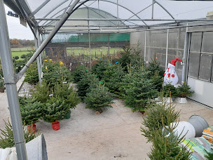 Photo n°5 de PANAPLANTES PARIS-SAQUE à Panazol (Pépinière)